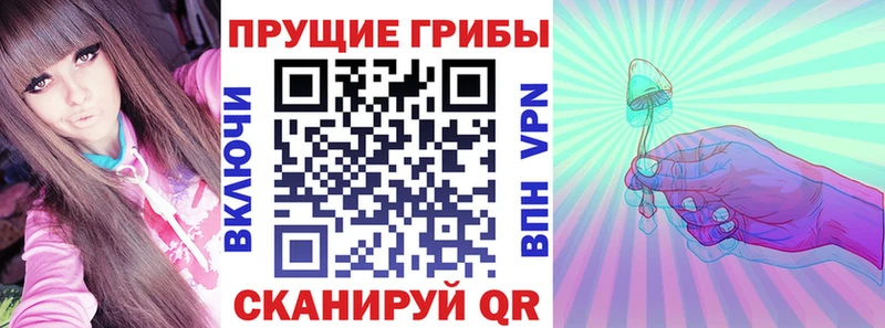 купить закладку Балахна Псилоцибиновые грибы ЛСД