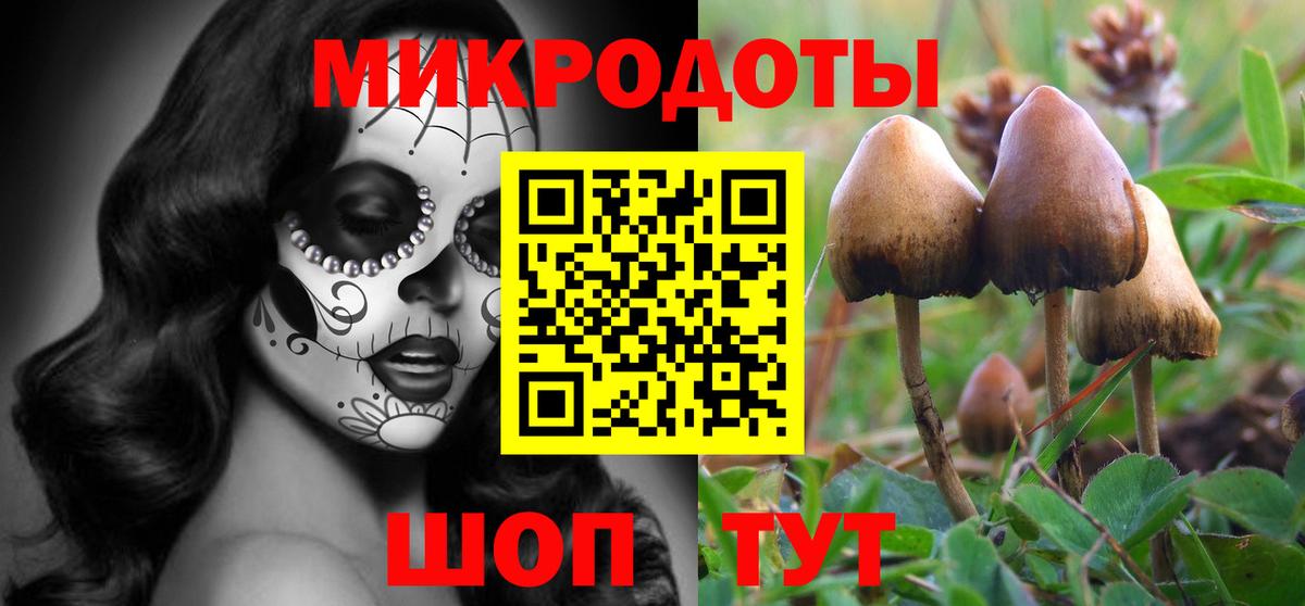 Псилоцибиновые грибы Magic Shrooms Балахна