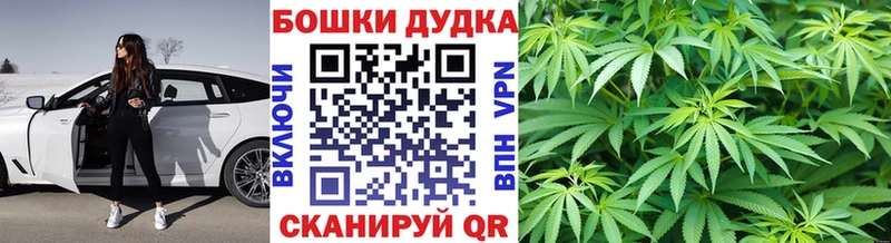 закладка  Балахна  Конопля план 